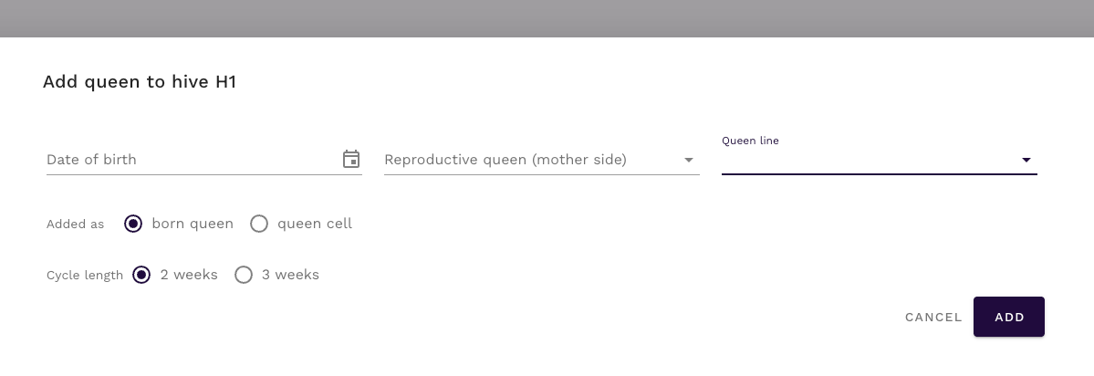 Okno matki w aplikacji QueenBees