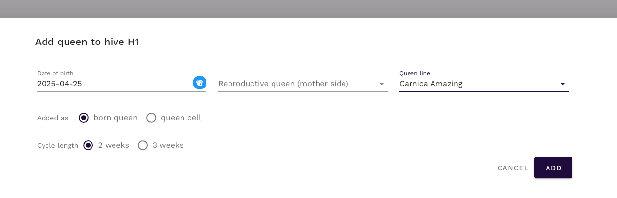 Wypełnione okno matki w aplikacji QueenBees